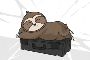 Sleep Sloth GIF by BS Systems GmbH & Co. KG