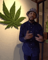 Weed Cannabis GIF by Hash Museum