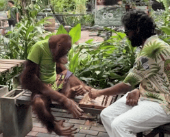 Sani GIF