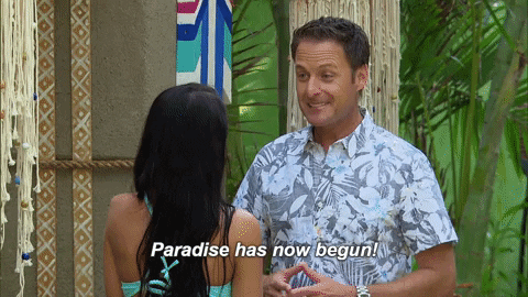 Begin Season 4 GIF by Bachelor in Paradise - Find & Share on GIPHY