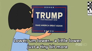 donald trump politics GIF