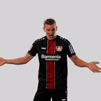 200.gif?cid=fc005b08b7a1facd02575732872f384c42074eca2b33b8c8&rid=200.gif&ct=g