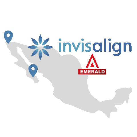 Dental Solorio Valdivia Sticker