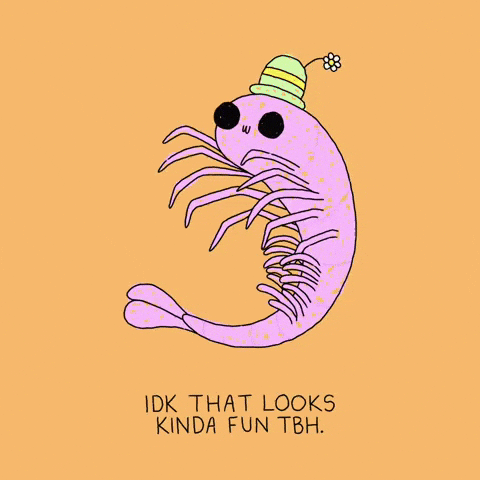 Happy Ready To Party GIF