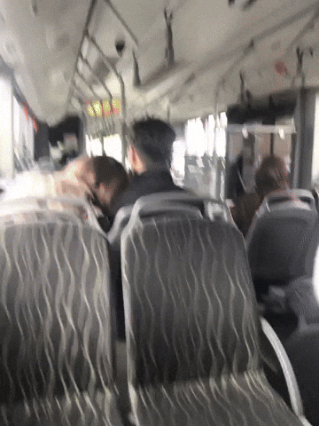 Sevginga Qotagim GIF