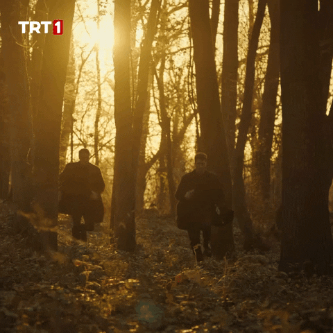 Forest Running GIF by TRT