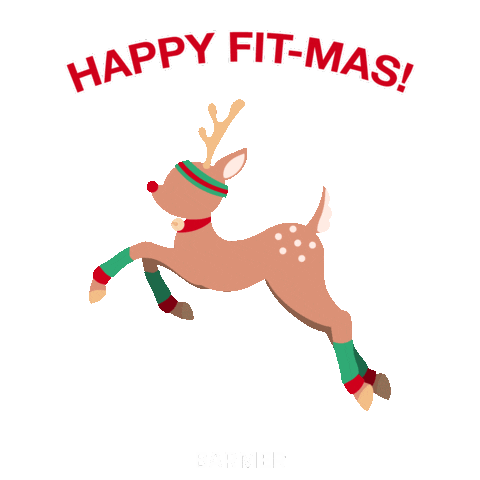 Christmas Fitness Sticker by BARMER