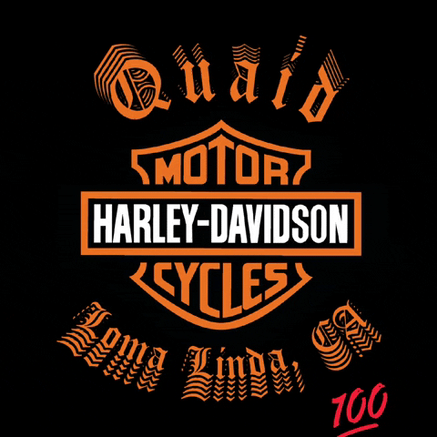Harley Davidson Family GIF by Quaidhd