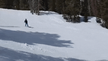 snowboarder snowboarding GIF by Justin