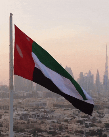 Flag Uae GIF