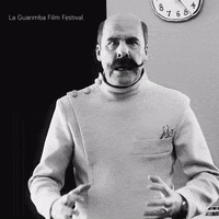 Stop Reaction GIF by La Guarimba Film Festival