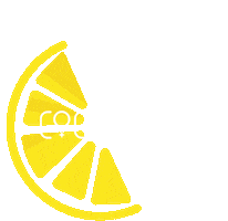 Coco Lemon Hair Sticker