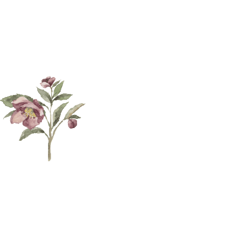 Flower Boho Sticker by Mum's Floral & Home