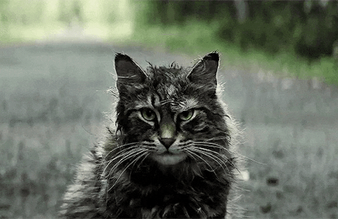 Pet Sematary GIFs - Get the best GIF on GIPHY
