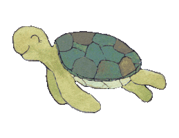 Turtle Watercolor Illustration Sticker by Cedar Rose Stationery