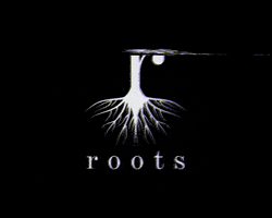 roots_basel GIF