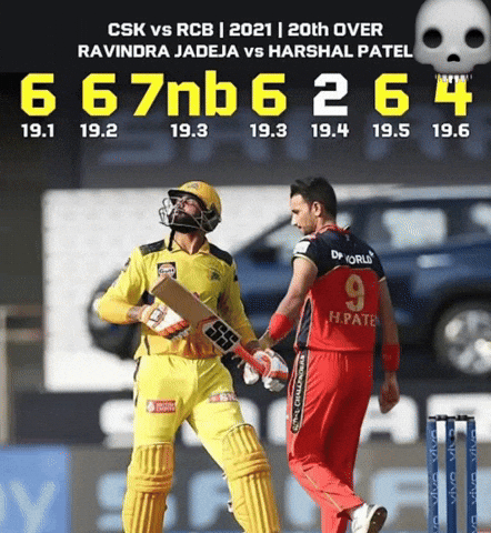 Chennai Super Kings Ipl GIF