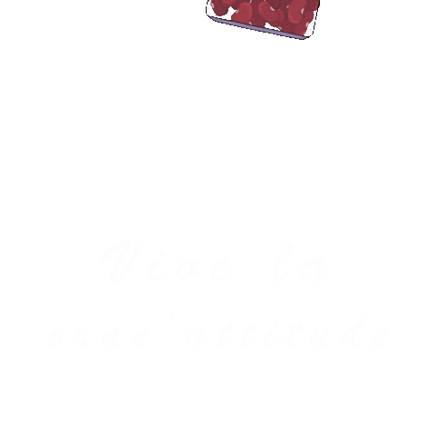 Courses Vrac Sticker by Autour du Fourneau