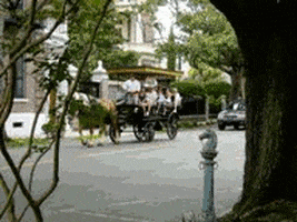 200.gif?cid=fc005b08ad4271f429030c4a54d18a6669aa4eb185a8a08e&rid=200.gif&ct=g