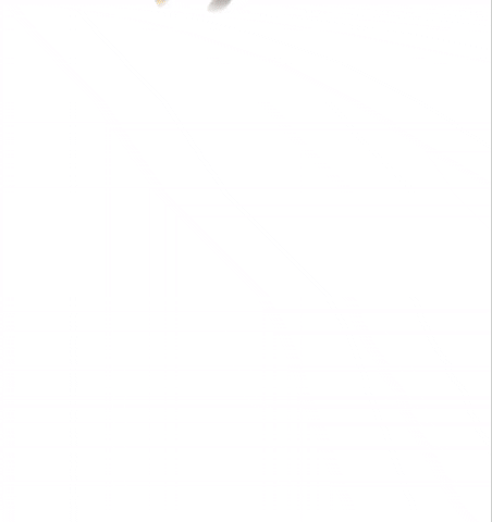 Coffee Veracruz GIF by Cafe Andrade Oficial