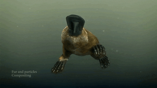 Compositions GIFs - Get the best GIF on GIPHY