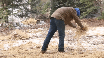 Chris Burns Snowing GIF by JC Property Professionals