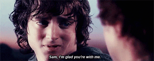 the lord of the rings sam gamyi GIF