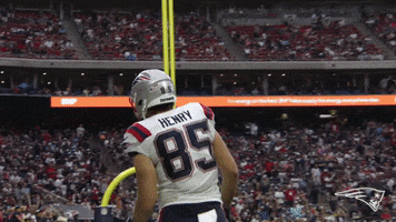 Happy Hunter Henry GIF by New England Patriots