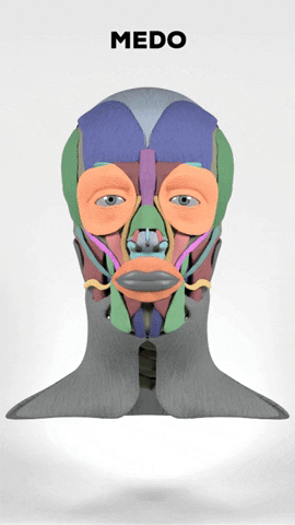 Face GIF