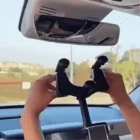 GIF Animado