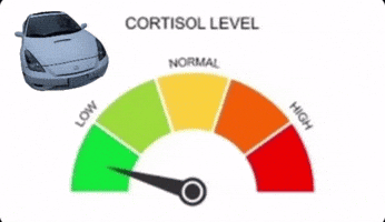 Cortisol GIF