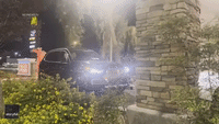 Camel Spotted Going Through In-N-Out Burger Drive-Thru in Las Vegas