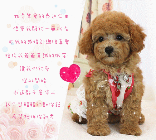i pick you