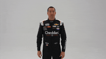 Kyle Busch Guy GIF by Richard Childress Racing