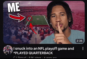 Texans GIF