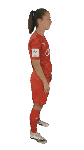 Schanzerinnen Sticker