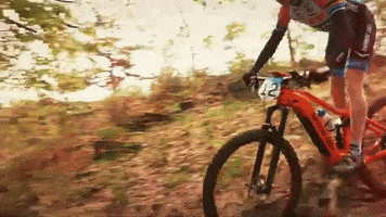 Bafang GIF