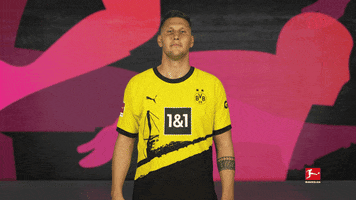 Borussia Dortmund Yes GIF by Bundesliga
