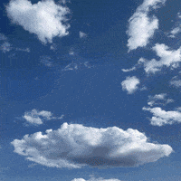 200w.gif?cid=ecf05e47pwafbqlwqpp54qf360k