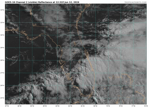 giphy.gif?cid=9b38fe91anwica42oyzexmu6zi