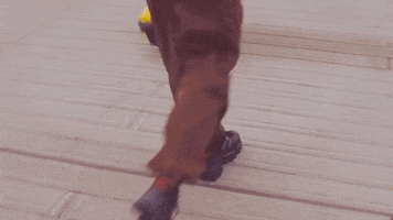 Model GIF