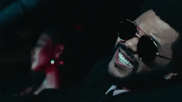 200.gif?cid=fc005b083318148b47e119b3296c44302080efdd210bd7c9&rid=200.gif&ct=g