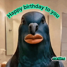 Happy Birthday Ai GIF by Cantina