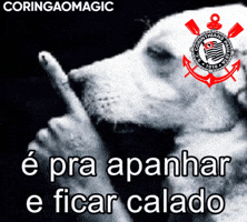 Copa Do Brasil Corinthians GIF