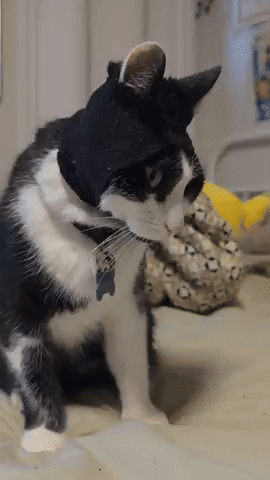 Skimask GIF
