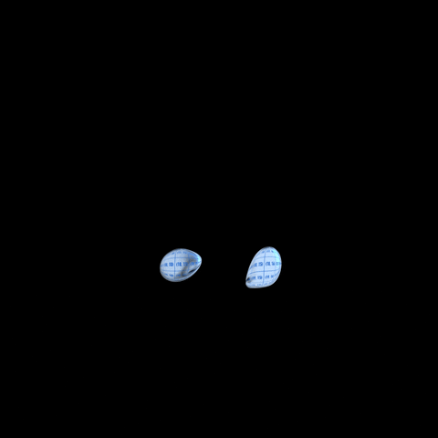Nwnf GIF