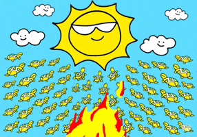 Kabi GIF