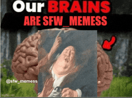 Sfwmemess GIF