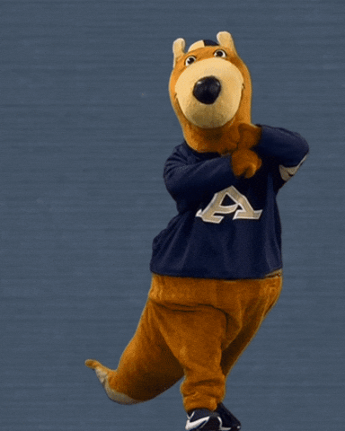 Flying GIF by The University of Akron