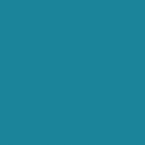 Dog GIF